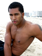 Black stallion with curved dick